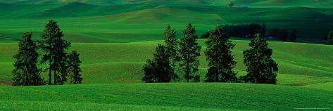  - christopher-jacobson-fields-in-spring-palouse-country-eastern-wa