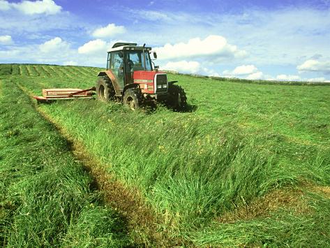 Tractors Cutting Silage