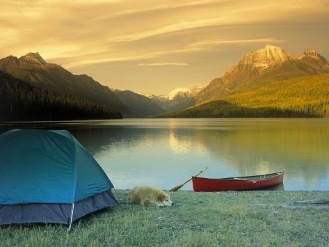 Bowman Lake Mt