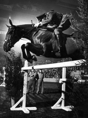 horse jumping photography