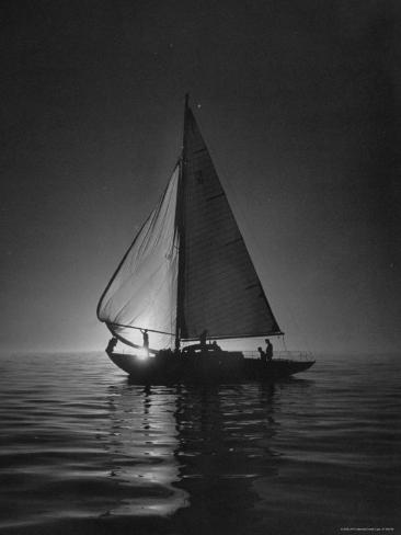 Full Sails During a Night Sailboat Race, with the Sun 