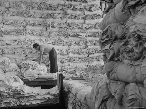 Raw Cloth