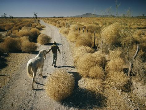 Dirt Horse