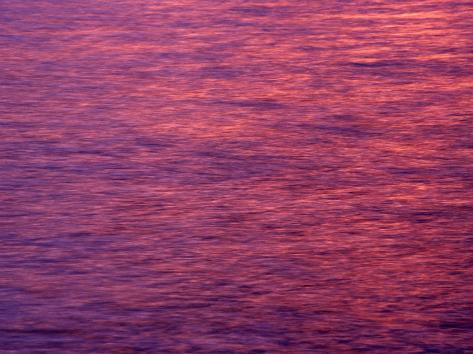 Flathead Lake on Sunset On Flathead Lake  Montana  Usa Photographic Print By Gareth