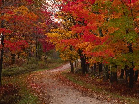 Country Road in the Fall, Vermont, USA Photographic Print