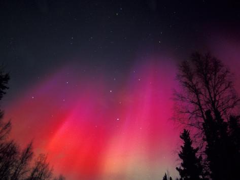 Curtains of Northern Lights above Fairbanks, Alaska, USA Photographic Print