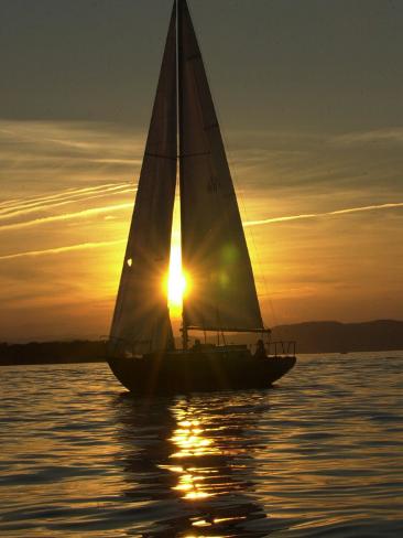 Sailboat Heads Back to its Mooring Photographic Print