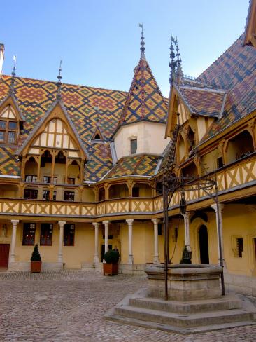 chat beaune
