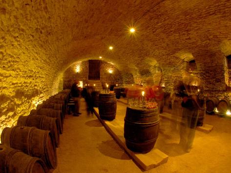 lisa-s-engelbrecht-wine-cellar-of-chateau-de-pierreclos-burgundy-france.jpg