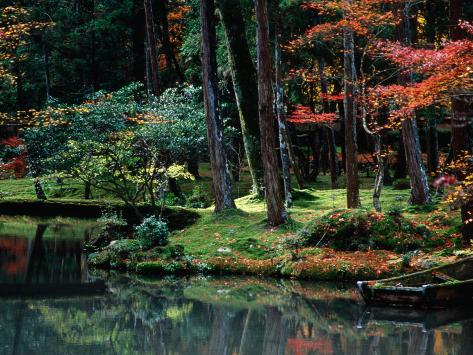 オールポスターズの フランク カーター saiho ji garden in autumn kyoto japan 写真プリント オールポスターズの フランク カーター saiho ji garden in autumn kyoto japan 写真プリント