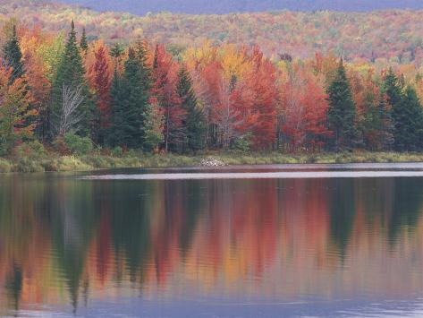 Mirror Reflection of Autumn Colors in McAllister Lake, Vermont, USA Photographic Print