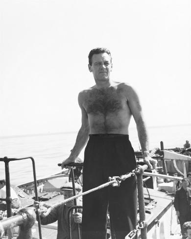 William Holden Photo at AllPost...