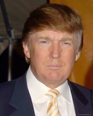 Donald Trump on Donald Trump Photo At Allposters Com