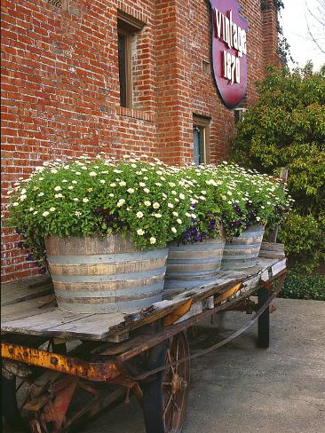 Flowers on Old Baggage Wagon, Vintage 1870 Shops, Napa Valley, California, USA Photographic Print