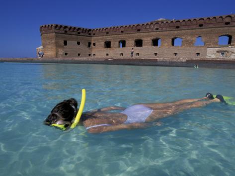 http://imgc.allpostersimages.com/images/P-473-488-90/28/2810/DIYOD00Z/posters/greg-johnston-swimmer-at-fort-jefferson-garden-key-dry-tortugas-florida-usa.jpg