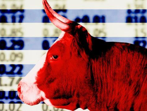 market quotes. Bull in Front of Stock Market Quotes Photographic Print