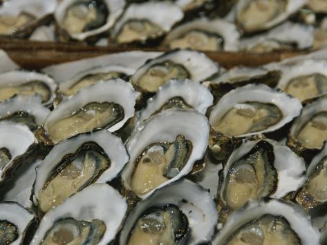 Oysters on the Half-Shell Glisten with Briny Sweetness Photographic Print