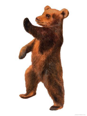 Tanzender Bär Tanzender Bär