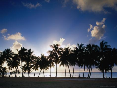  - manfred-gottschalk-sun-setting-behind-palm-tree-lined-shore-of-west-coast-cook-islands