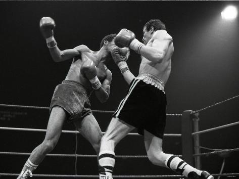 Eleoncio mercedes boxer #6