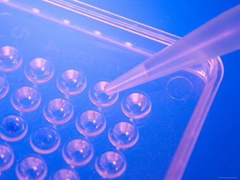 Microtiter Plate