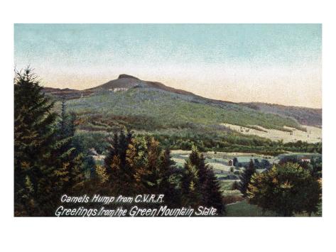 Poster of camelshump vt