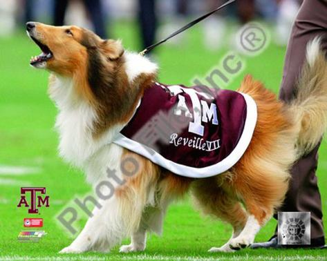 aggie mascot