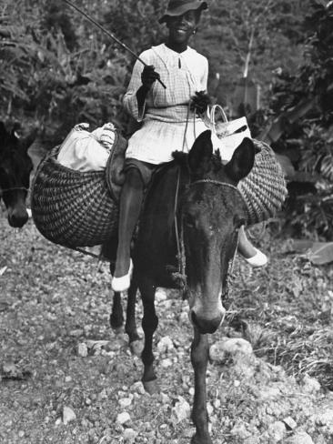 Jamaican Woman Riding a Donkey Premium Photographic Print