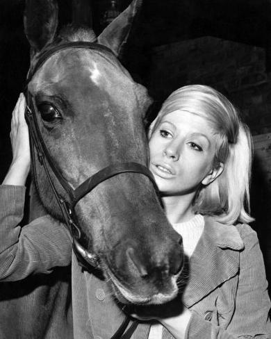 Sheila Fearn Photo at AllPoster...