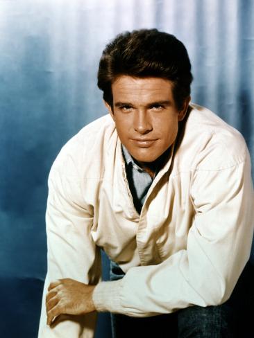 Warren Beatty, 1960s Photo at AllPosters.com Warren Beatty, 1960s Photo at AllPosters.com