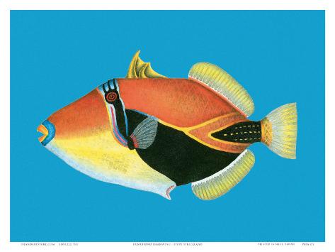 Hawaii Fish Poster