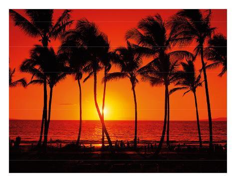 Braun 3710 on Red Hawaiian Sunset Giclee Print By Randy Jay Braun At Allposters Com