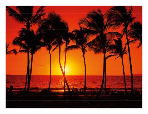 Braun 3710 on Red Hawaiian Sunset Giclee Print By Randy Jay Braun At Allposters Com