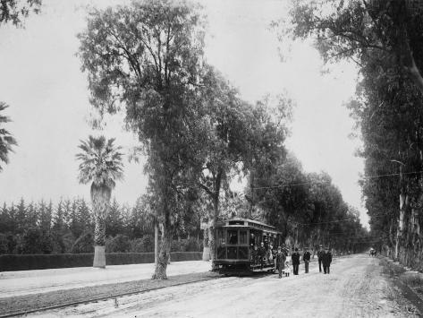 California Citrus Heritage Recording Project, Magnolia Avenue, Riverside County, 1920-1930 Premium Poster