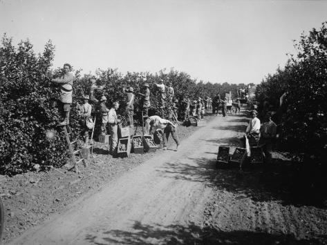 California In 1930