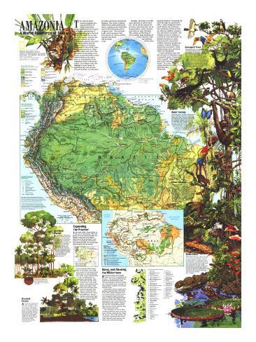 Amazonia, A World Resource at Risk Poster Map (1992)