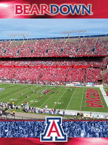 Arizona Stadium