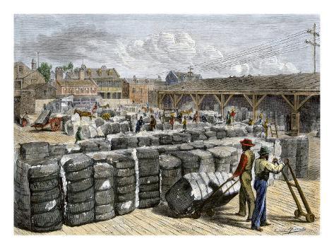 http://imgc.allpostersimages.com/images/P-473-488-90/37/3761/9TVZF00Z/posters/black-stevedores-loading-bales-on-the-cotton-wharf-in-charleston-south-carolina-1870s.jpg