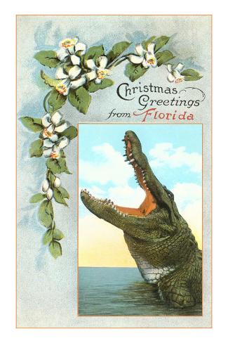 Alligator Poster