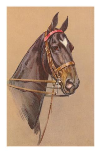 Horse Blaze