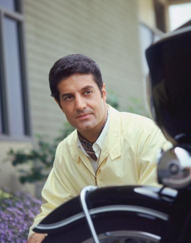 peter lupus peter lupus