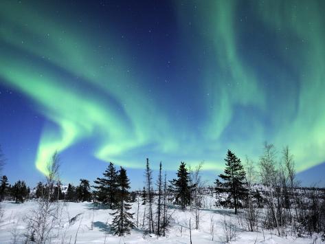 [Image: eric-baccega-northern-lights-northwest-t...canada.jpg]