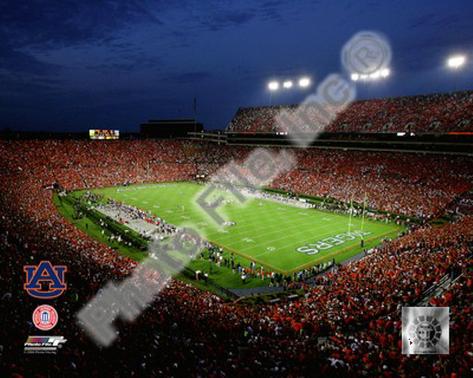 Jordan Hare Stadium Auburn Univeristy Tigers 2008 Photo jordan hare stadium