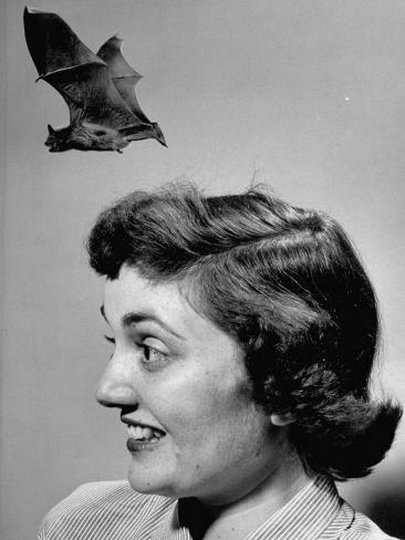 Joan Harris Experiencing a Bat Flying from Her Head on Museum of Science Joan Harris Experiencing a Bat Flying from Her Head on Museum of Science