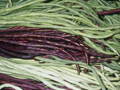 Mixture of Chinese Long Bean Pods (Vigna Unguiculata). Native to North and West Africa Photographic Print