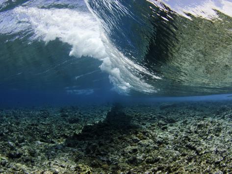 Underwater View of a Wave Crashing over a Coral Reef ...