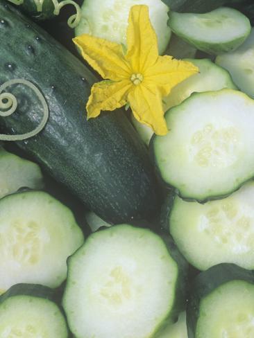 Cucumber, Sweet Success Photographic Print