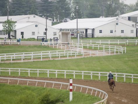 Thoroughbred Center