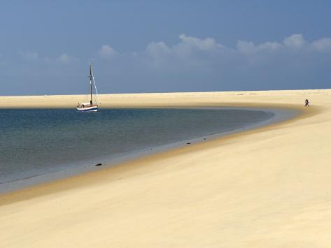 chat gironde