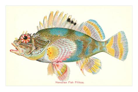 Hawaii Fish Poster